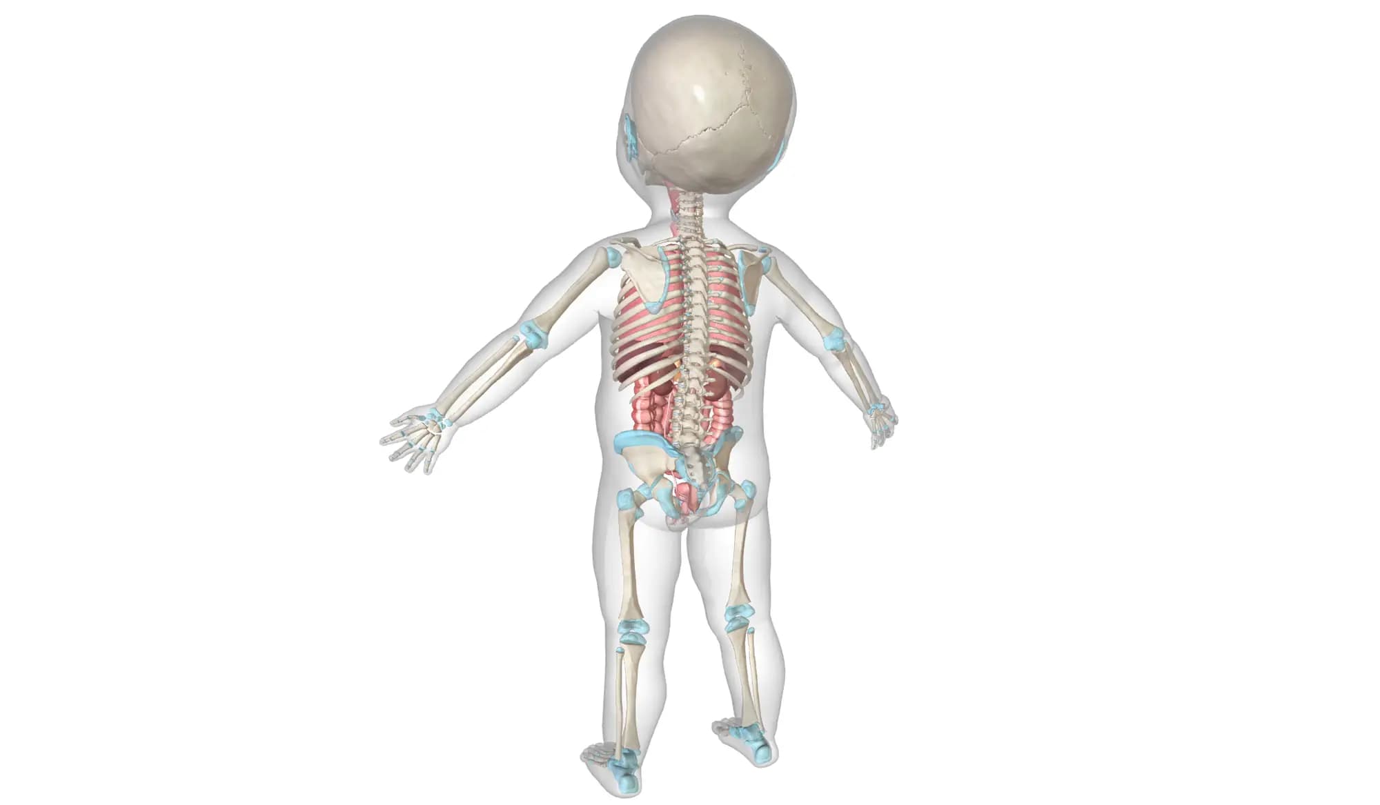 GP per Bambini e Adolescenti