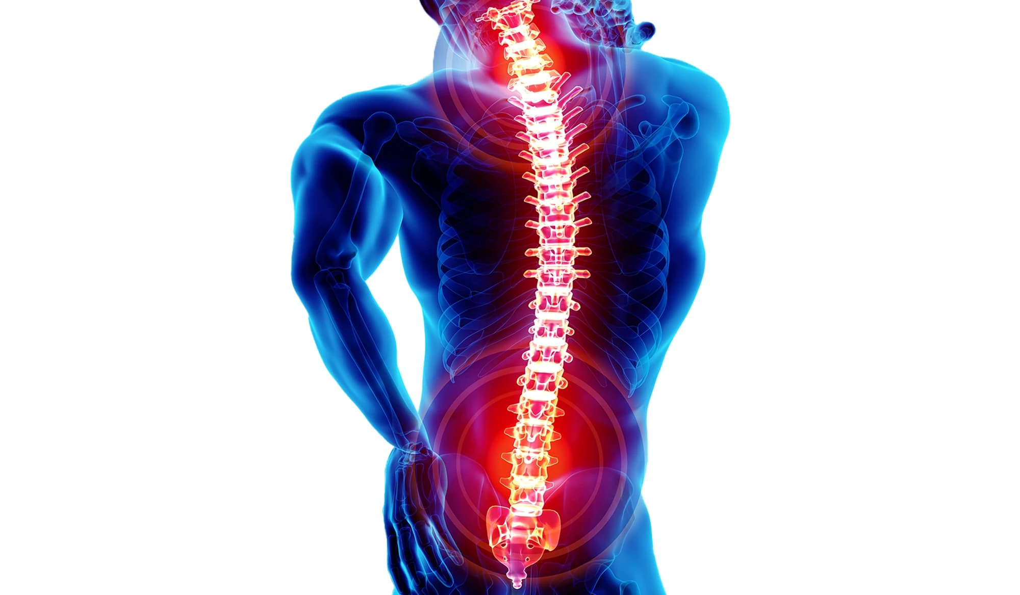 Teoria e Metodologia di Ginnastica Posturale®
