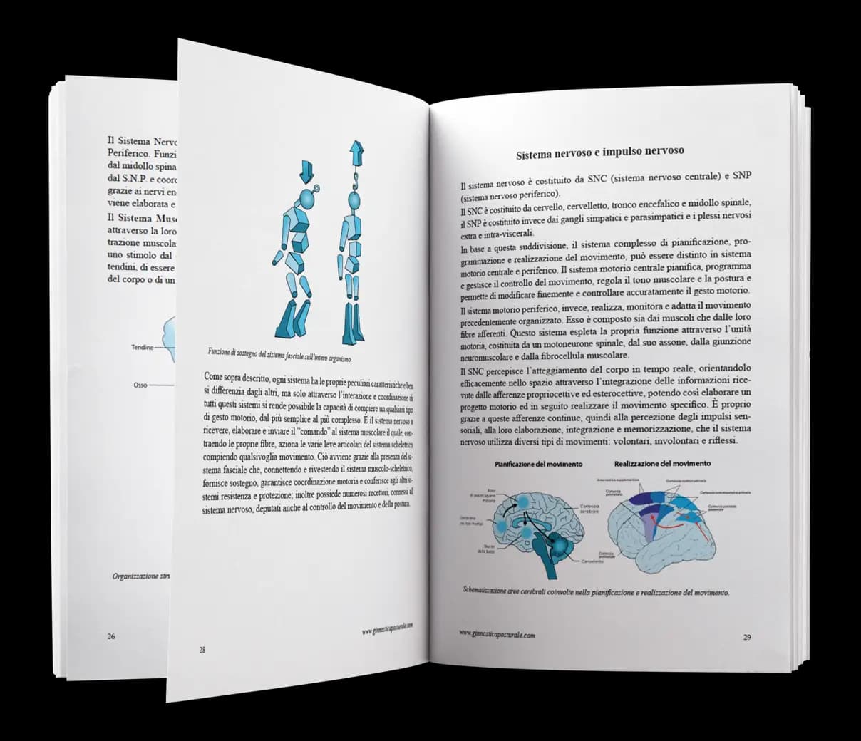 Anteprima libro Ginnastica Posturale