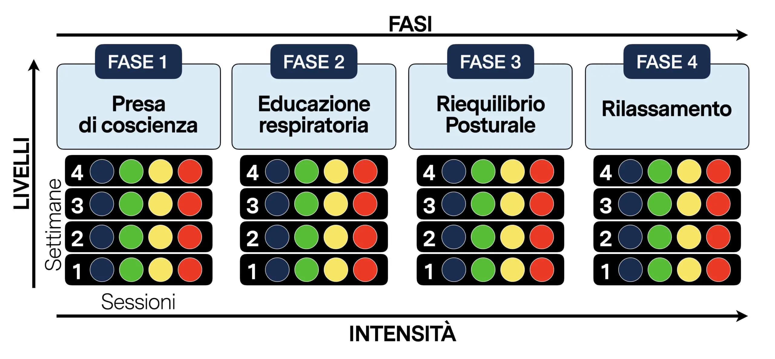 Fasi cicli e sessioni del metodo ginnastica posturale